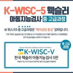 K-WISC-5 웩슬러 아동지능검사 중고급과정