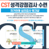 CST 성격강점검사 수련과정